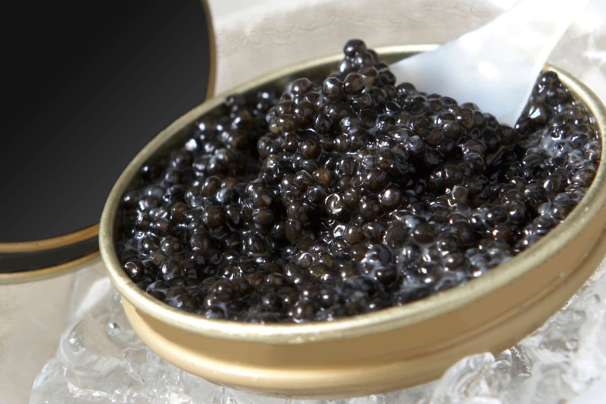 Body Silken Sheen Caviar Diamond Amber Scrub